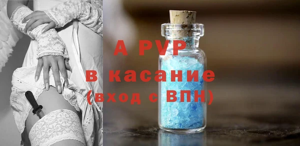 амф Алексин