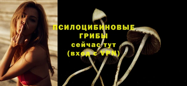 амф Алексин