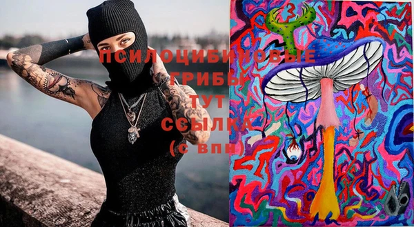 хмурый Алзамай