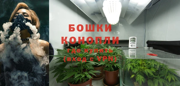 сатива Абаза