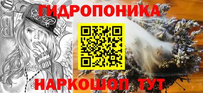 мяу мяу мука Вышний Волочёк