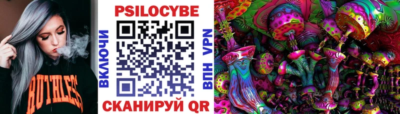 Галлюциногенные грибы Psilocybe  Курганинск 