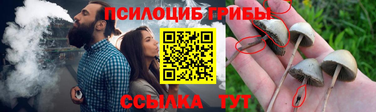 Курганинск  Псилоцибиновые грибы Magic Shrooms  Галлюциногенные грибы мицелий  Вход с VPN 