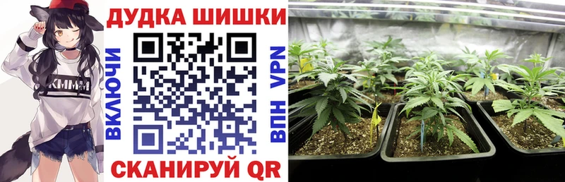 Бошки Шишки индика Курганинск